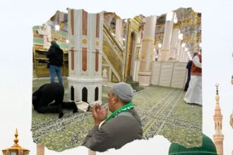 Raudhah Taman Surga di Masjid Nabawi